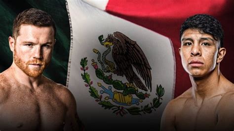 canelo bovada